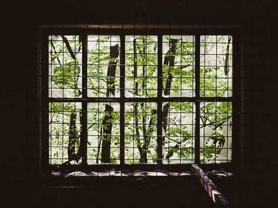 Le plateau de fromages était A+